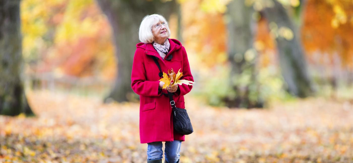 Senior woman is enjoying an independent walk through the autumn woods. She is collecting leaves and enjoying the views.