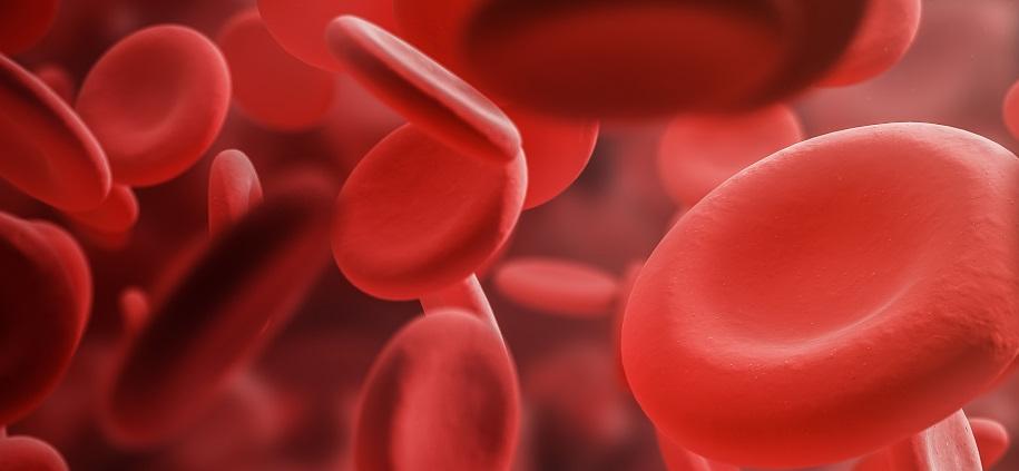 Red blood cells