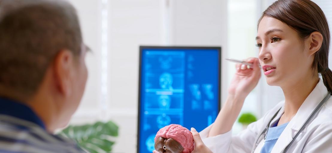 doctor explaining brain model