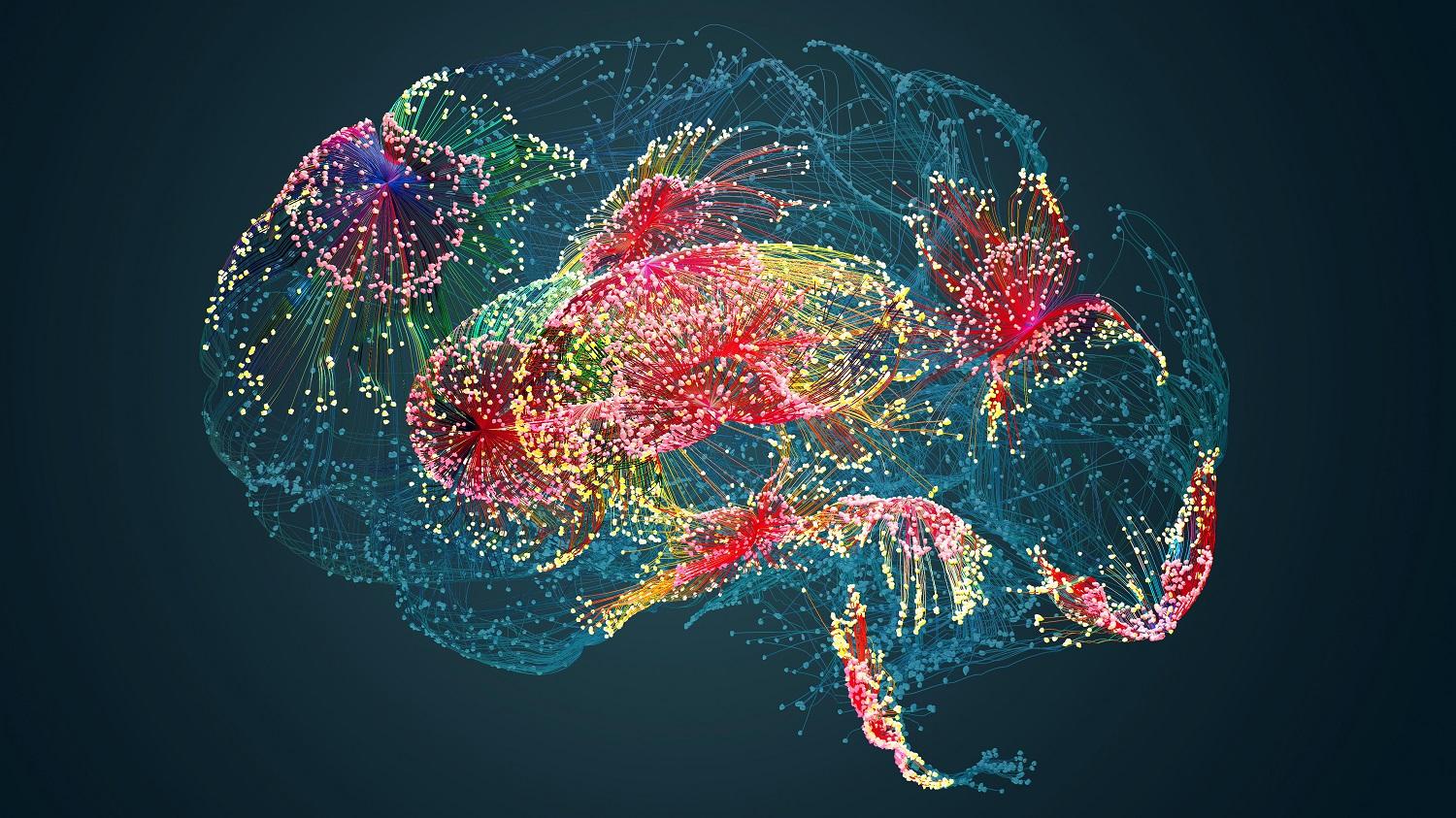 colorful brain