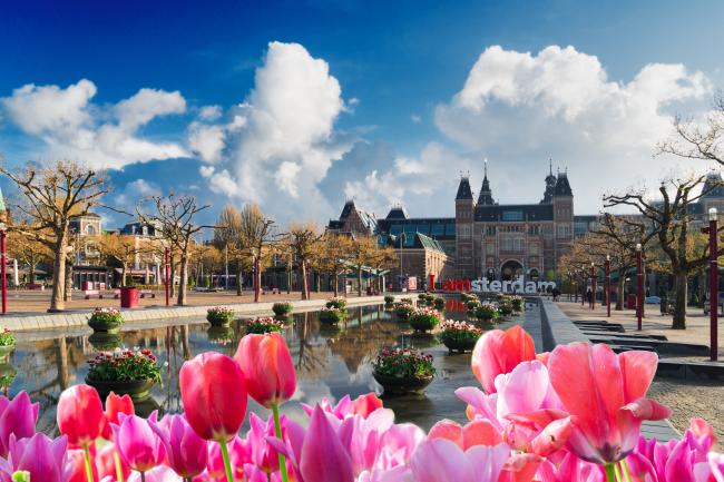Amsterdam Rijksmuseum with tulips