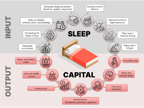 Sleep Capital: a Driver of Brain Power and Economic Productivity ...