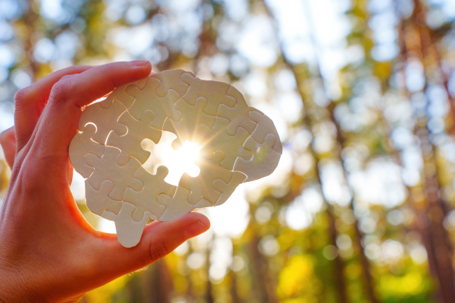brain jigsaw puzzle with trees and sunlight