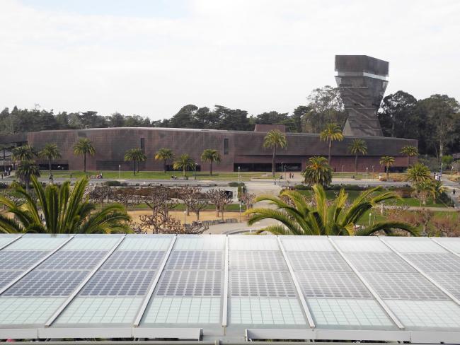 Exterior view of the de Young Museum in Golden Gate Park, with palm trees, gardens, and the museum’s copper-clad building and tower in the background.