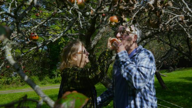 A woman and a man stand beneath an apple tree in a green orchard. Smiling, she gently feeds him a piece of fruit as sunlight filters through the branches around them.
