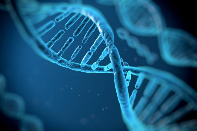 Close-up illustration of a blue DNA double helix.
