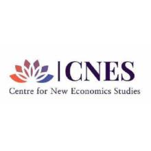Center for New Economics Studies logo