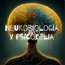 Neurobiologia y psicodelia podcast cover