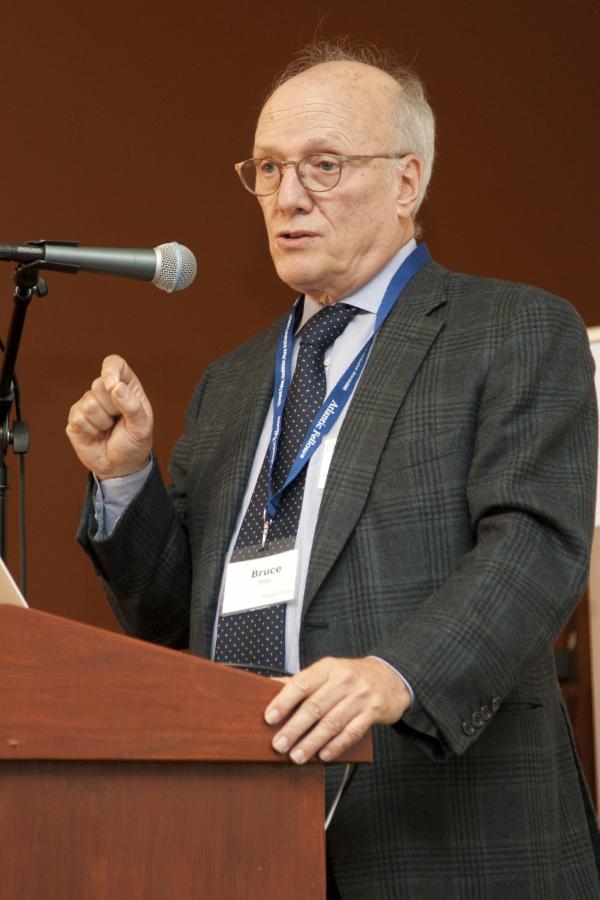 GBHI Co-Director Bruce Miller addressing the audience at a conference on art and brain health