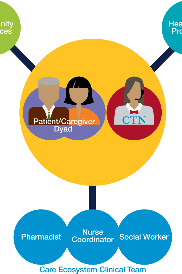 Illustrated model of the Care Ecosystem