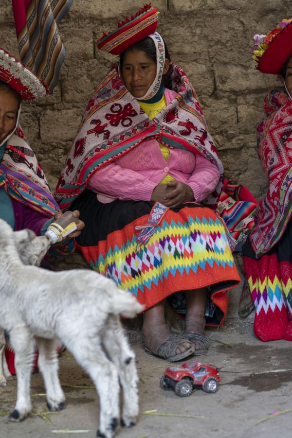 Women and child feeding baby animals