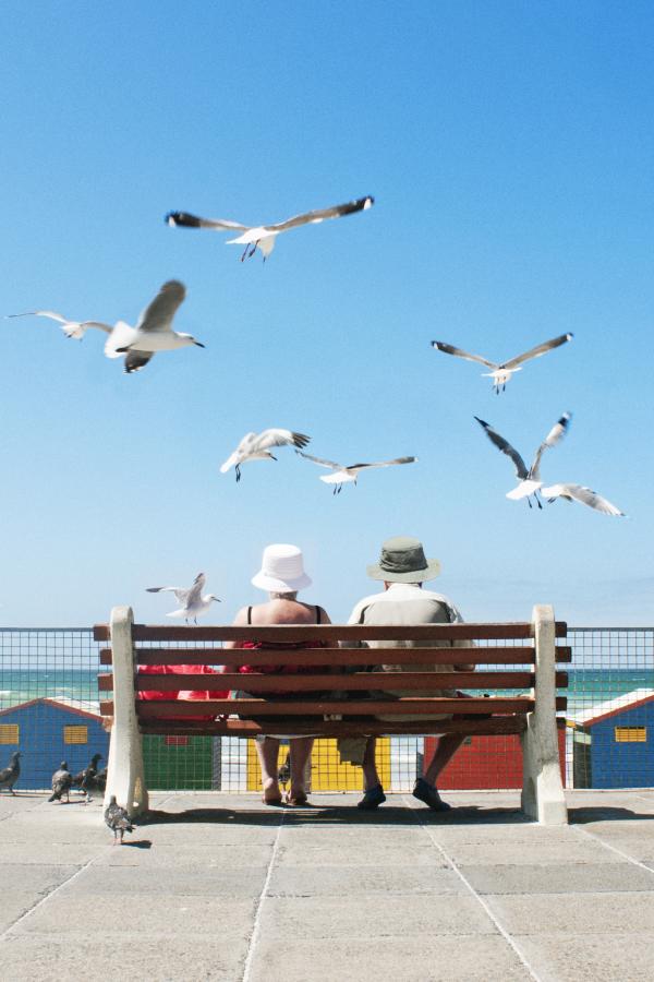 Couple on bench with birds