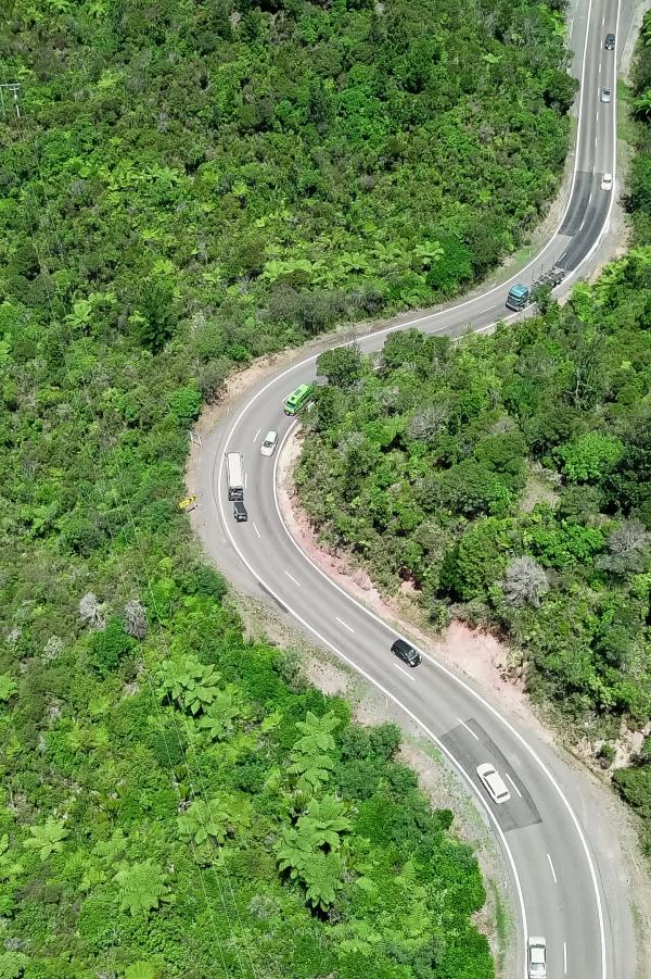 Aerial view of a typical forest in New Zealand