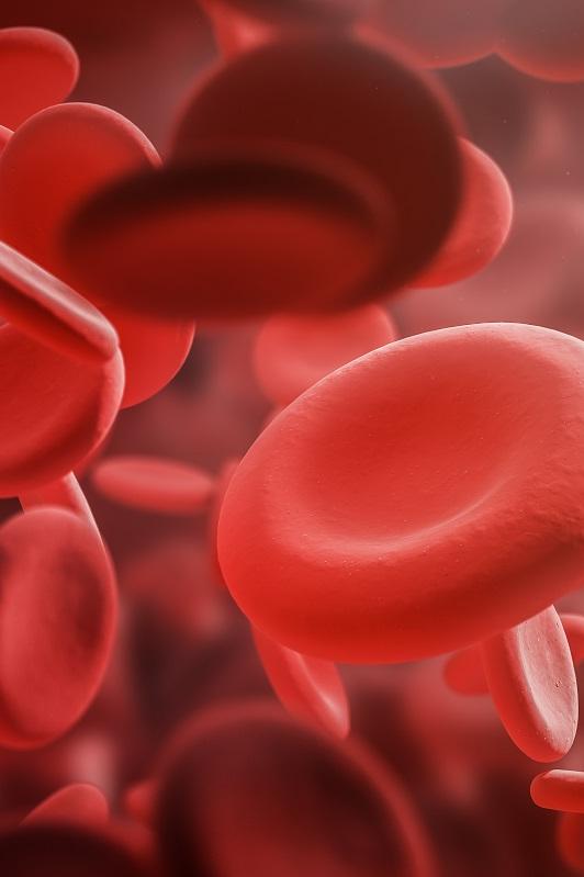 Red blood cells