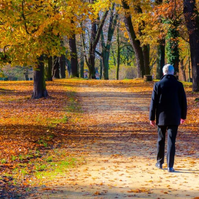 Person walking on nature trail