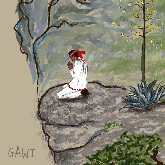 GAWI_territorioraramuri