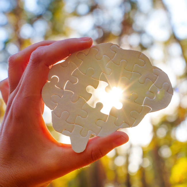 brain jigsaw puzzle with trees and sunlight