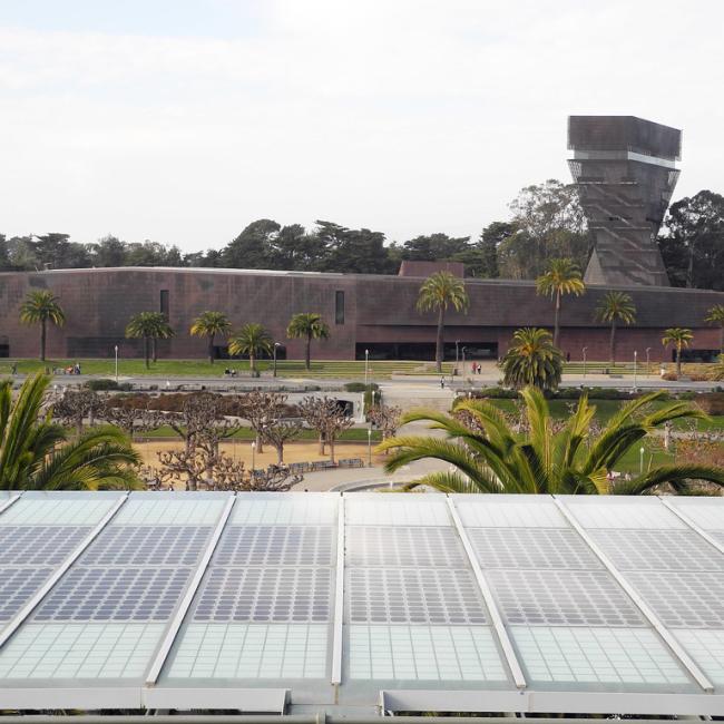 Exterior view of the de Young Museum in Golden Gate Park, with palm trees, gardens, and the museum’s copper-clad building and tower in the background.