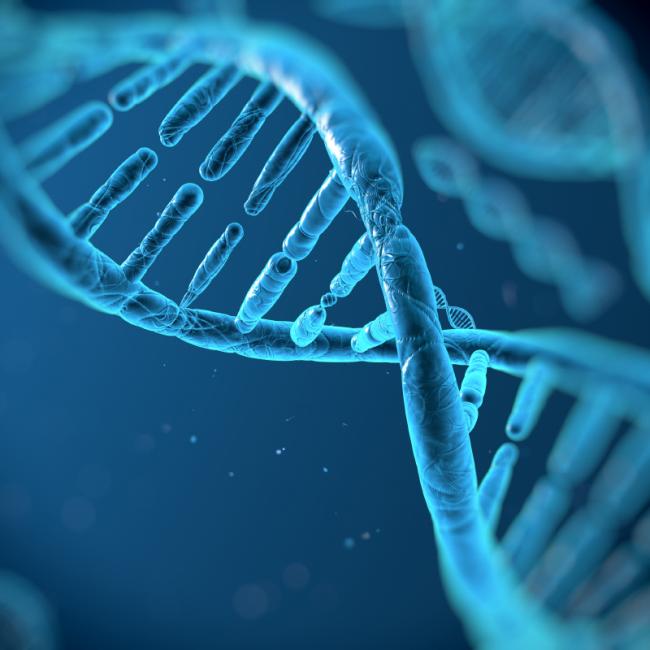 Close-up illustration of a blue DNA double helix.
