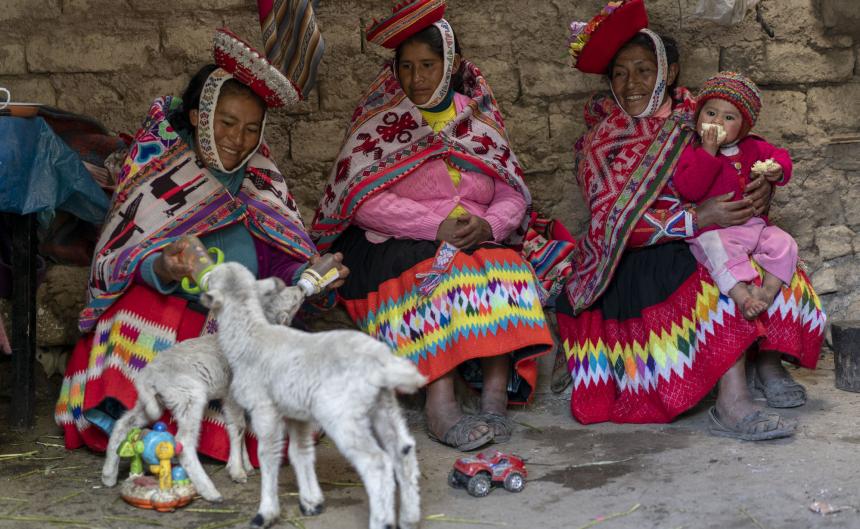 Women and child feeding baby animals