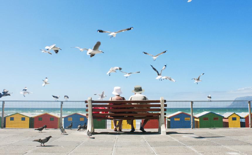 Couple on bench with birds