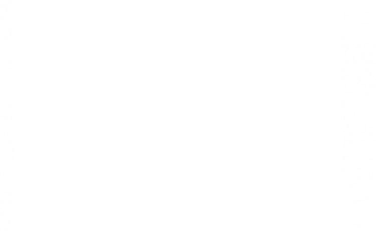 blank logo space on partner page