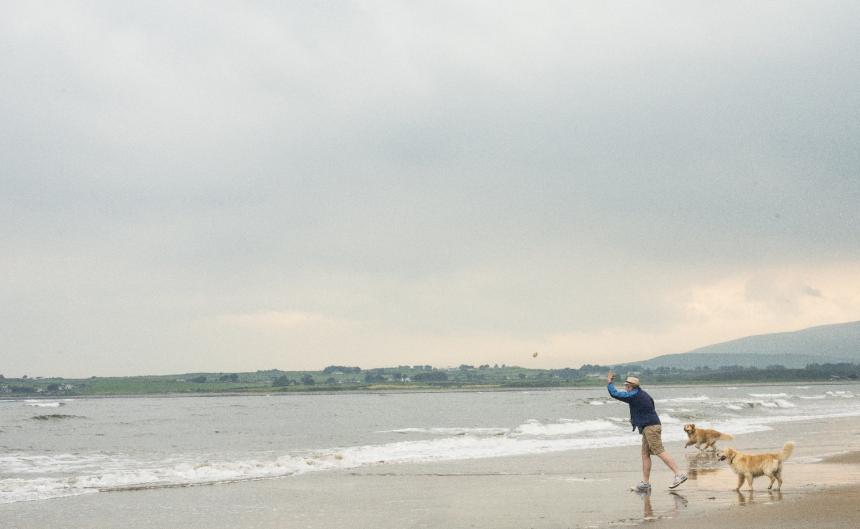 man with dogs on beach in Ireland