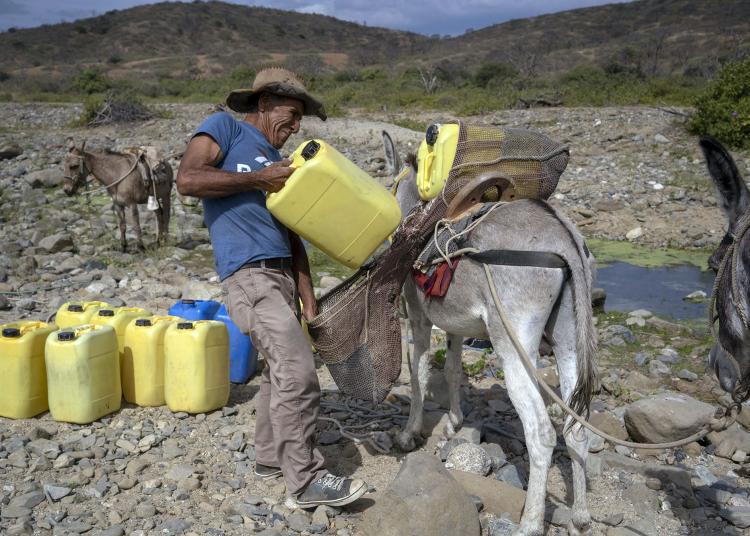 Man loading container onto mule