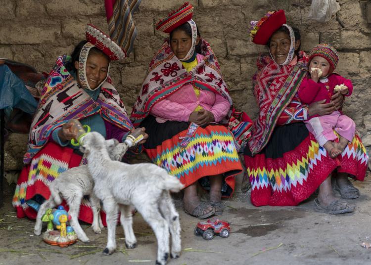 Women and child feeding baby animals