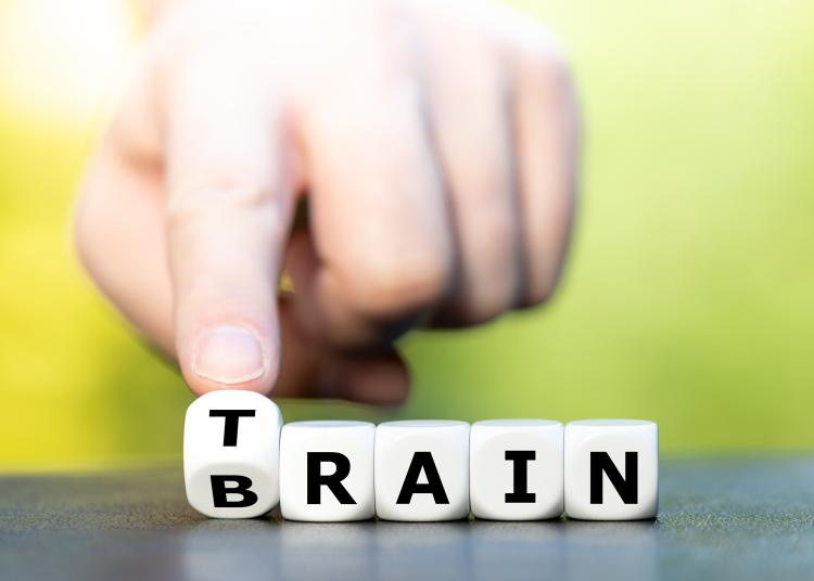 Dice that spell the words &quot;train&quot; and &quot;brain&quot;