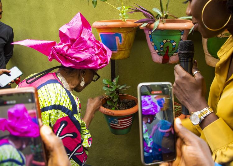 Bloom garden older lady inspecting plants